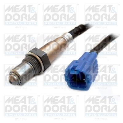 Oxygen Sensor